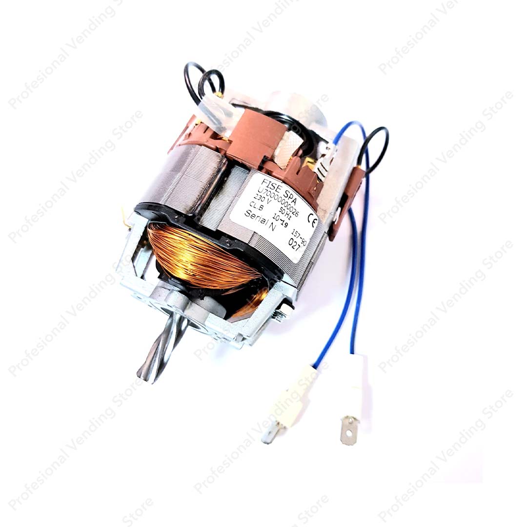 Motor Rasnita 220/230V-50/60 HZ Necta, Wittenborg